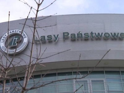 Byli dyrektorzy Lasów Państwowych oskarżeni. W tle zatrudnienie Mateckiego