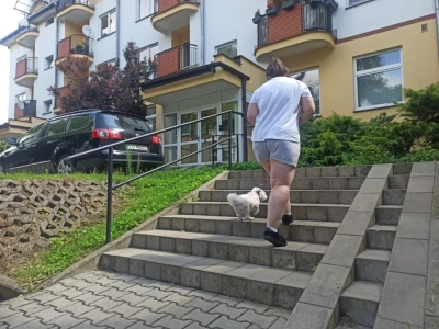 Spółdzielnia pryska, psy chorują. SM Nałkowskich uparła się na Roundup
