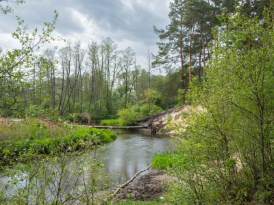 Bolimowski Park Krajobrazowy atrakcje. Co zobaczyć w Puszczy Bolimowskiej?