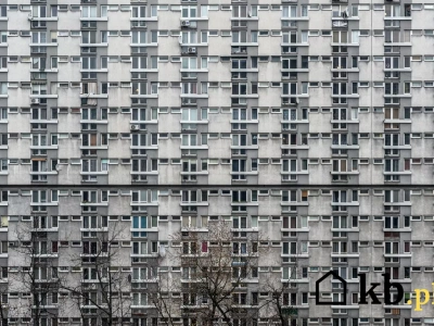 Deweloperzy mogą się schować z apartamentowcami. Wielka płyta wraca do łask!