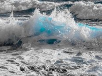 Tysiące nowych gatunków. Co skrywa się  na dnie oceanu?