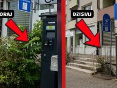 Zarośnięta ulica Spacerowa w Pile doczekała się porządków. Czekamy na więcej!