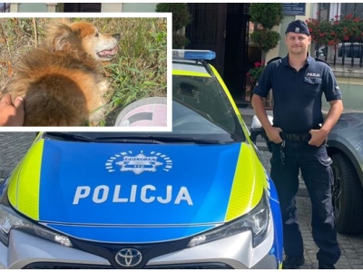 Dzielnicowy z Dobromierza uratował psa [FOTO]