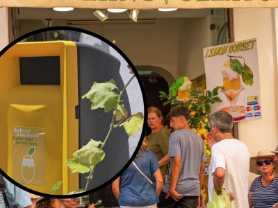 Cytrynowy sorbet – letni hit i śmieciowy koszmar. Tak poradzili sobie z problemem