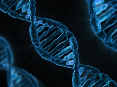 Szokujące odkrycie. Naukowcy zbadali pozostałości starożytnych wirusów w ludzkim DNA