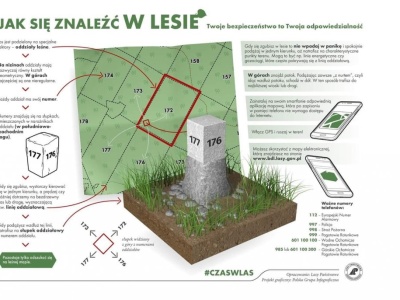 Bezpieczeństwo w lesie – apel o rozwagę podczas grzybobrania