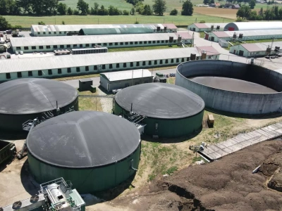 Pomiot głównym substratem w produkcji biogazu. Jakie są ograniczenia i jak zwiększyć zużycie?