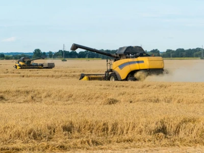 Ukraina tworzy „ministerstwo agroprzemysłu”. Czy rolnictwo w UE wytrzyma konkurencję?