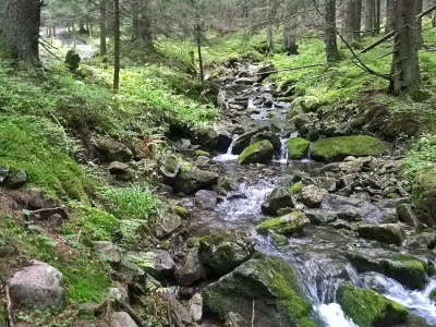 Tatry. Napiła się wody ze strumienia. „Prawie umarła”