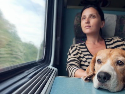 Psy i koty w pociągach stają się normą. PKP Intercity wprowadza nowe udogodnienia