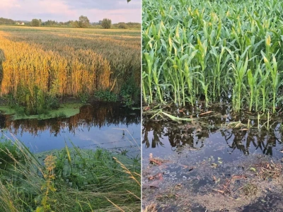 Wakacje kredytowe dla rolników. Na jakich warunkach i dla kogo?