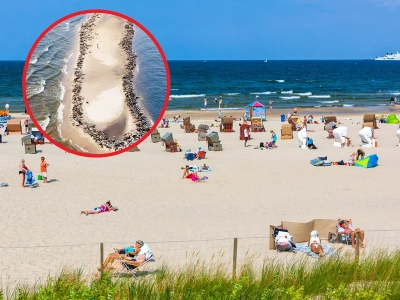 Wyjątkowe nagranie z polskiej plaży. Internauci nie kryją zachwytu
