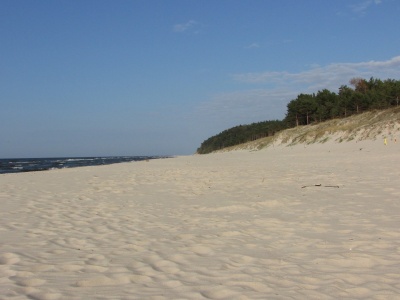 Martwy wieloryb wyrzucony na plażę w Wisełce. Sanepid bada wodę