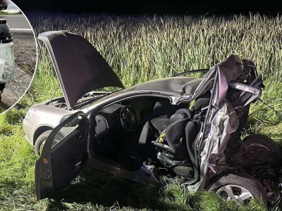 Nie żyje ojciec i jego dwuletni synek. Ujęty po ucieczce sprawca usłyszał zarzuty. Ujawniono, jak zareagował