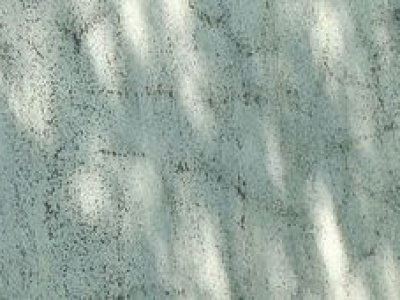 Przebudowa ul. Podwale. Od środy duże zmiany w centrum