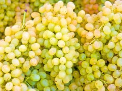 W tych owocach nie znajdziesz pestek. Mało kto wie, czy są bezpieczne dla zdrowia i wolne od GMO