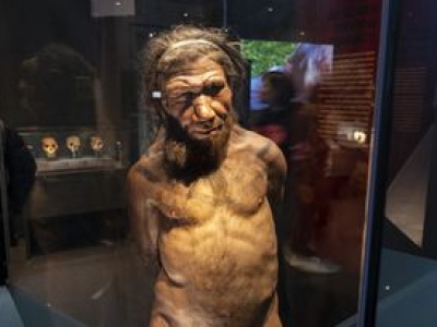 To białko różniło ludzi od Neandertalczyków. Dlatego wyginęli?