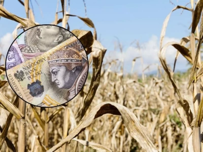 Pomoc suszowa: będzie nowa definicja suszy? Co się zmieni?