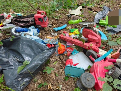 Brutalnie zabity pies porzucony w lesie w powiecie świeckim. Leśnicy proszą o pomoc! [zdjęcia]