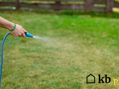 Zielona trawa na lato? Ten błąd z wężem ogrodowym niszczy murawę w tydzień