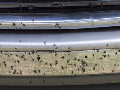 Większość kierowców po trasie ma ten sam problem. Jest kilka rozwiązań