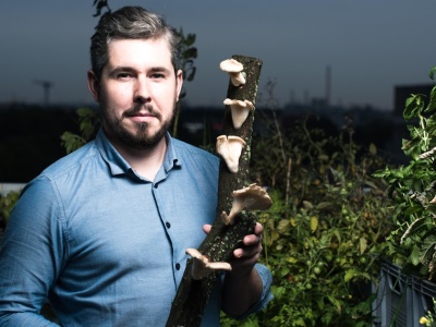 Polacy grzybowzięci. „Patrzysz na boczniaka i widzisz, że wszystko w życiu ma sens”