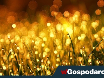 Woda na wagę złota – jak ESG wpływa na ceny kruszcu