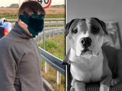 Doron myślał, że to zabawa. Chwilę później nie żył. 