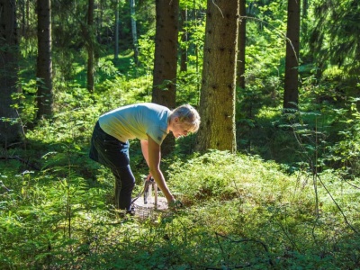 Las to nie sklep z pamiątkami. Wynoszenie tych rzeczy grozi mandatem, a nawet więzieniem