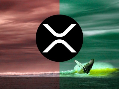 Tajemnicza seria transakcji z XRP. Co knują wieloryby Ripple? To bardzo cenna wskazówka