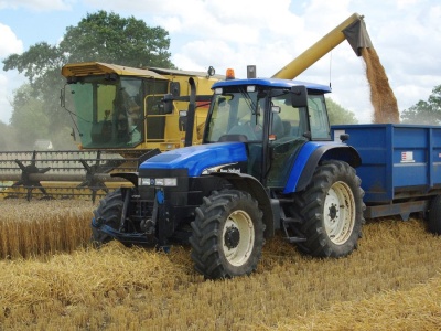 Cena pszenicy realnie spadła o 30%. Ekspert ostrzega: „W sierpniu będzie gorzej”