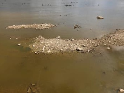 9 cm wody. Wisła wysycha w Warszawie
