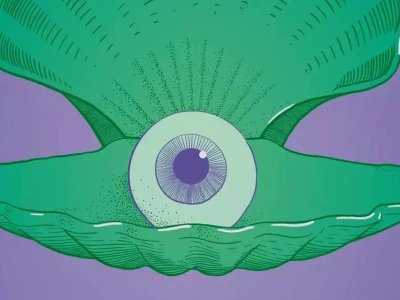 Ornament - recenzja książki