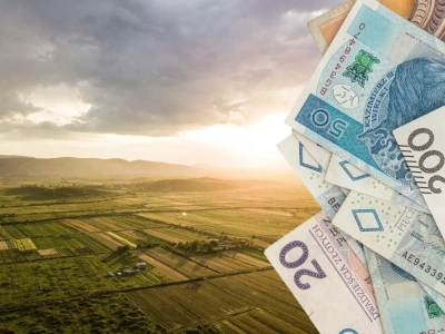 Dzierżawa na nowych zasadach. Właściciel będzie decydował, co zasieje rolnik?