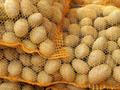 W tych krajach obrodziło ziemniakami