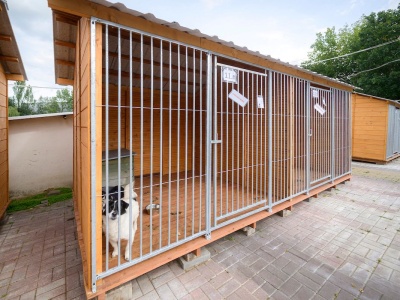 Koniec remontu w łódzkim schronisku dla zwierząt. „Dajemy szansę na nowe, lepsze życie zwierzaków”