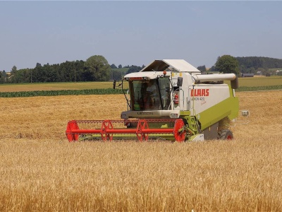 MARS podnosi prognozę plonów pszenicy miękkiej w UE do 6,15 t/ha