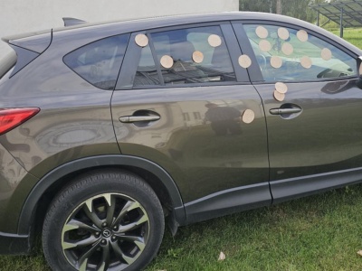 Skandal na dożynkach w Ostrowach. Kto stoi za atakiem mielonką na księdza?