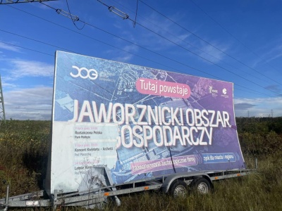 Izera: miał być milion elektryków, wciąż straszy wycięty las. KO wraca do projektu PiS