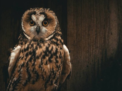 Nie dla geniuszy, ale łatwo też nie jest. 10 pytań z wiedzy ogólnej