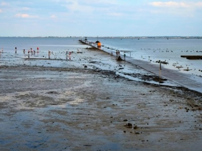 Światowy unikat czy droga widmo? Passage du Gois znika dwa razy dziennie