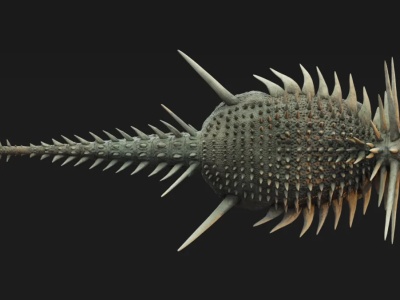 To się nazywa zbroja. Ten ankylozaur bije swoich następców na głowę