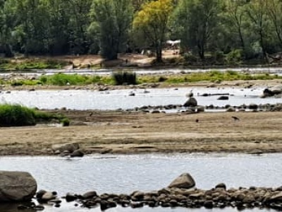 Wisła wysycha dalej: w Warszawie wody tyle, co w porządniejszej kałuży. A to jeszcze nie koniec