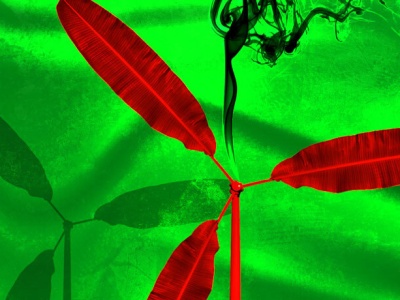 Brniemy w elektroenergetyczną katastrofę! Ekspert mocno o planach piewców „zielonej transformacji”