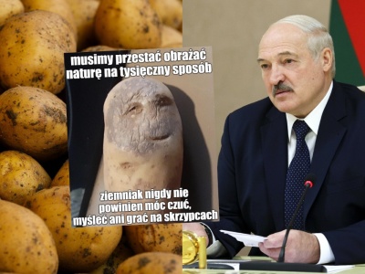 Łukaszenka zapowiada prace nad ziemniakiem-mutantem, który przetrwa choroby i niekorzystne warunki pogodowe