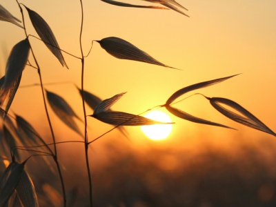 Cytat na koniec lata