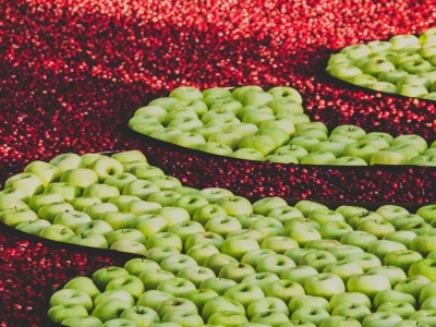 Tak czy nie? 15 nieoczywistych pytań z wiedzy o świecie