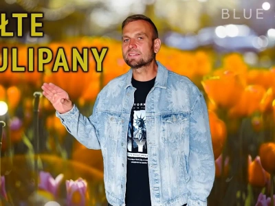 BLUE BOX – Żółte tulipany (z rep. IMPERIUM)