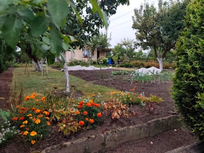 Zatrzymany sprawca serii włamań na terenie ogródków działkowych