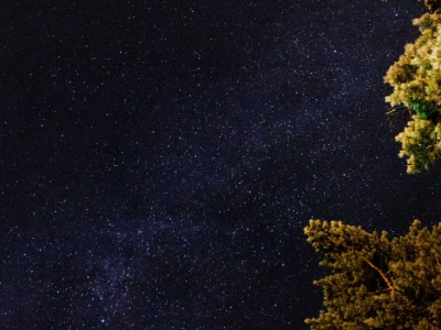 Kosmiczny motyl okiem Webba – detale zachwycą każdego